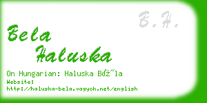 bela haluska business card